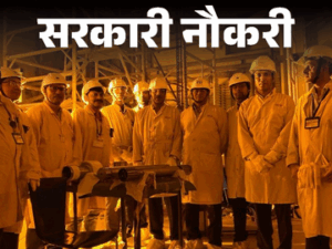 सरकारी नौकरी की बेहतरीन खबर: हरियाणा पावर यूटिलिटीज में 284 पदों पर भर्ती, आयु सीमा 42 साल और सैलरी ₹1.5 लाख से भी अधिक