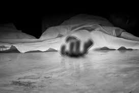 Raipur AmliDih Murder Case : रायपुर के अमलीडीह मं 16 साल के नाबालिग के हत्या……
