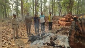 Gariaband News : झाड़ी म मिलीस शिक्षिका के आधा जले लाश, काली परिवार संग मनाय रहिस उत्सव, आज मिलीस मउत