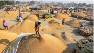 Dhan Kharidi 2025 : धान के टोकन बर भटकत किसान ह खाइस जहर: गांव म हड़कंप….