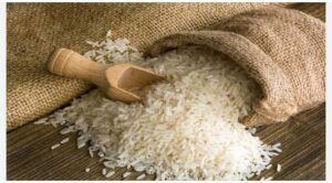 Dantewada PDS Rice Scam : बड़का लापरवाही : घुन लगे चाऊर ला खाहीं आदिवासी लइका, 30 हजार क्विंटल चाऊर होइस खराब