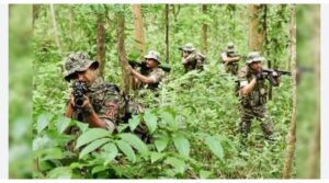 Bastar Naxal Encounter : सुकमा अऊ बीजापुर म नक्सलवाद ऊपर करारा प्रहार: मुठभेड़ म 14 नक्सली ढेर, हथियार अऊ शव बरामद