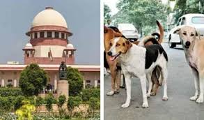 Supreme Court Dog Bite News
