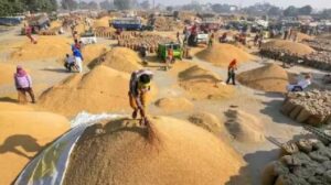 खरीदी केंद्र में घोटाला: 17 करोड़ ले जादा के धान सेंटर ले गायब, कागद में दिखिस स्टॉक, जांच में निकरिस गोलमाल