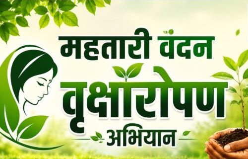 छत्तीसगढ़ मा आज ले ‘महतारी वंदन वृक्षारोपण अभियान’ के सुरुआत, 2.45 लाख बहिनी मन लगाही पौधा