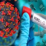Swine Flu