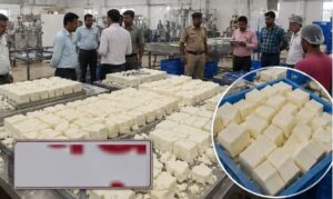 नकली पनीर फैक्ट्री मं छापा, हजारों किलो माल जब्त, फैक्ट्री सील