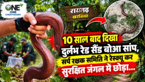 10 साल बाद दिखिस दुर्लभ रेड सैंड बोआ सांप, सर्प रक्षक समिति ह रेस्क्यू करके सुरक्षित जंगल म छोड़िस!